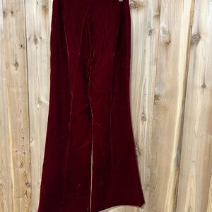 Velvet Boot Cut Pants in Rich Burgundy